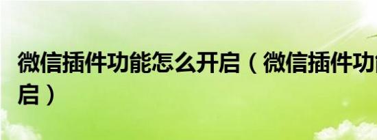微信插件功能怎么开启（微信插件功能如何开启）