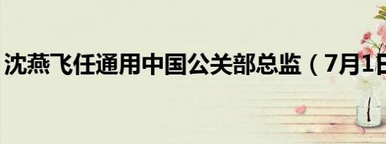 沈燕飞任通用中国公关部总监（7月1日生效）