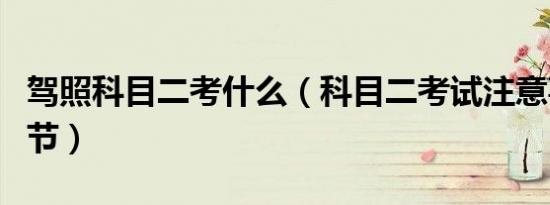 驾照科目二考什么（科目二考试注意事项和细节）