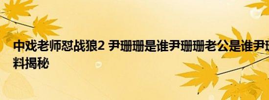 中戏老师怼战狼2 尹珊珊是谁尹珊珊老公是谁尹珊珊个人资料揭秘