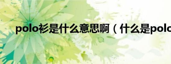 polo衫是什么意思啊（什么是polo衫）