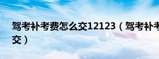 驾考补考费怎么交12123（驾考补考费怎么交）