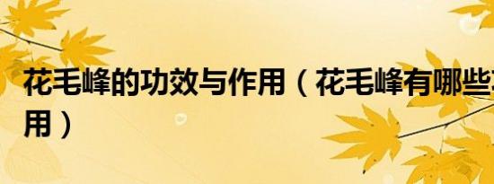 花毛峰的功效与作用（花毛峰有哪些功效与作用）