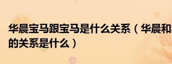 华晨宝马跟宝马是什么关系（华晨和华晨宝马的关系是什么）