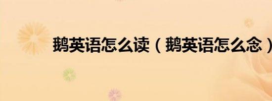 鹅英语怎么读（鹅英语怎么念）