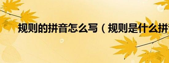 规则的拼音怎么写（规则是什么拼音）