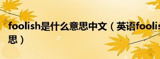 foolish是什么意思中文（英语foolish什么意思）
