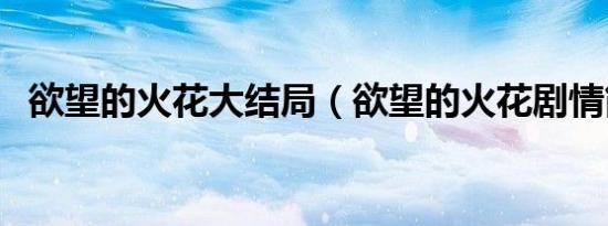 欲望的火花大结局（欲望的火花剧情简介）