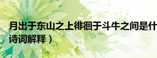 月出于东山之上徘徊于斗牛之间是什么意思（诗词解释）