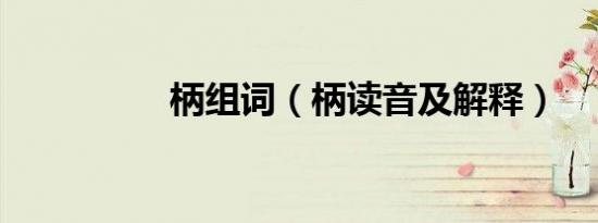 柄组词（柄读音及解释）