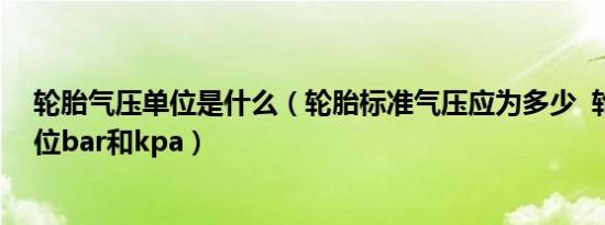 轮胎气压单位是什么（轮胎标准气压应为多少 轮胎气压单位bar和kpa）