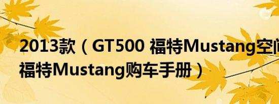 2013款（GT500 福特Mustang空间舒适吗 福特Mustang购车手册）