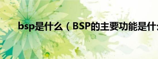 bsp是什么（BSP的主要功能是什么）