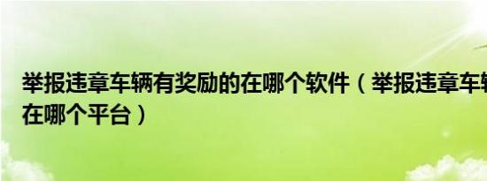 举报违章车辆有奖励的在哪个软件（举报违章车辆有奖励的在哪个平台）