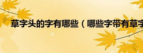 草字头的字有哪些（哪些字带有草字头）