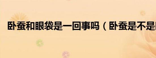 卧蚕和眼袋是一回事吗（卧蚕是不是眼袋）