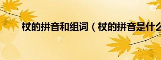 杖的拼音和组词（杖的拼音是什么）