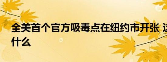 全美首个官方吸毒点在纽约市开张 这意味着什么