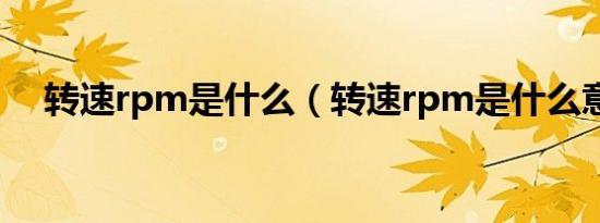 转速rpm是什么（转速rpm是什么意思）