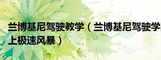 兰博基尼驾驶教学（兰博基尼驾驶学院再掀沪上极速风暴）