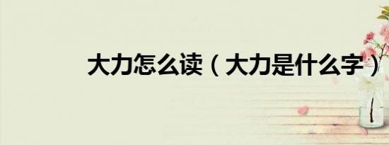 大力怎么读（大力是什么字）