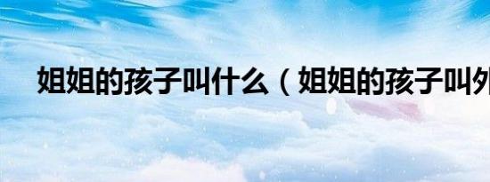 姐姐的孩子叫什么（姐姐的孩子叫外甥）