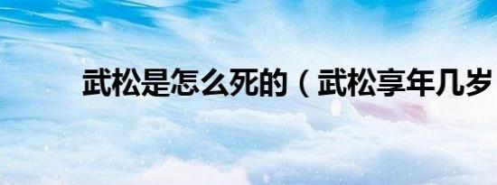 武松是怎么死的（武松享年几岁）