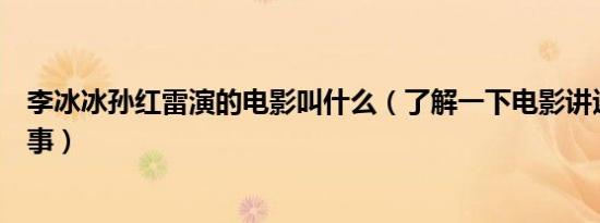 李冰冰孙红雷演的电影叫什么（了解一下电影讲述了什么故事）