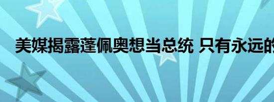 美媒揭露蓬佩奥想当总统 只有永远的利益