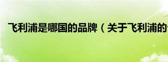 飞利浦是哪国的品牌（关于飞利浦的介绍）