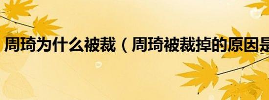 周琦为什么被裁（周琦被裁掉的原因是什么）