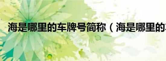 海是哪里的车牌号简称（海是哪里的车牌）