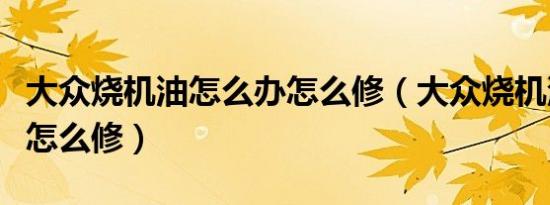 大众烧机油怎么办怎么修（大众烧机油怎么办怎么修）