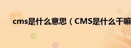 cms是什么意思（CMS是什么干嘛的）