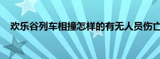 欢乐谷列车相撞怎样的有无人员伤亡情况