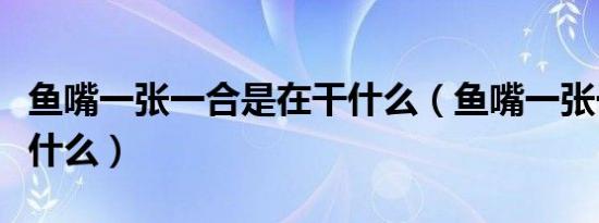 鱼嘴一张一合是在干什么（鱼嘴一张一合在干什么）