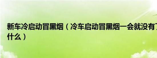 新车冷启动冒黑烟（冷车启动冒黑烟一会就没有了的征兆是什么）