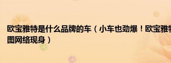欧宝雅特是什么品牌的车（小车也劲爆！欧宝雅特OPC官方图网络现身）
