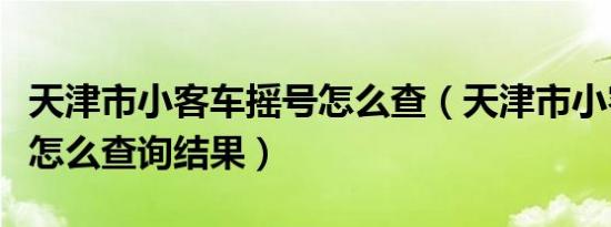 天津市小客车摇号怎么查（天津市小客车摇号怎么查询结果）