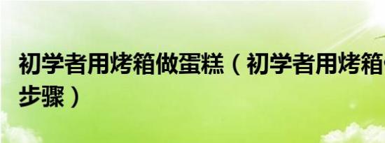 初学者用烤箱做蛋糕（初学者用烤箱做蛋糕的步骤）