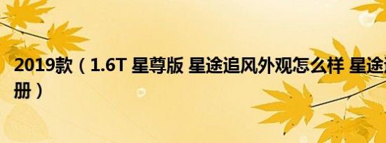 2019款（1.6T 星尊版 星途追风外观怎么样 星途追风购车手册）