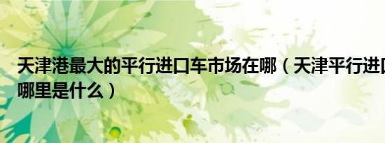 天津港最大的平行进口车市场在哪（天津平行进口车市场在哪里是什么）