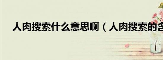 人肉搜索什么意思啊（人肉搜索的含义）