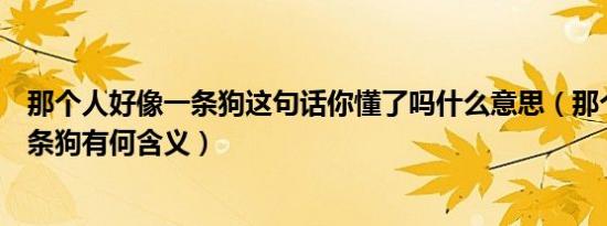 那个人好像一条狗这句话你懂了吗什么意思（那个人好像一条狗有何含义）