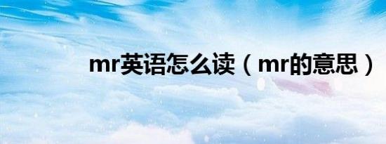 mr英语怎么读（mr的意思）