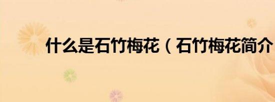 什么是石竹梅花（石竹梅花简介）