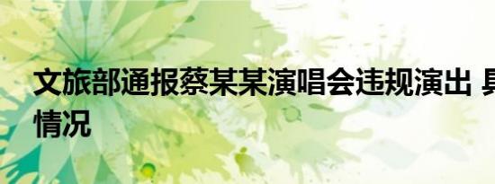 文旅部通报蔡某某演唱会违规演出 具体是啥情况