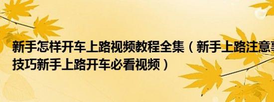 新手怎样开车上路视频教程全集（新手上路注意事项及驾车技巧新手上路开车必看视频）