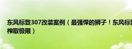 东风标致307改装案例（最强悍的狮子！东风标致307改装榨取极限）