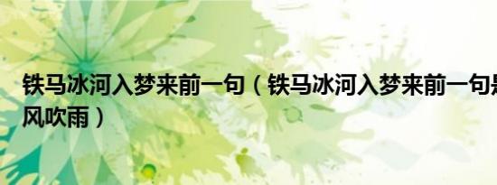 铁马冰河入梦来前一句（铁马冰河入梦来前一句是夜阑卧听风吹雨）